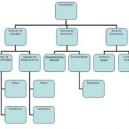 Por que ter um bom organograma empresarial?