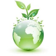 A educação ambiental no contexto do programa de gestão das empresas