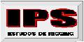 IPS Estudos de Rigging  Solues Tcnicas em Movimentaes de Cargas